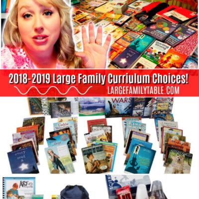 Big Family Homeschooling