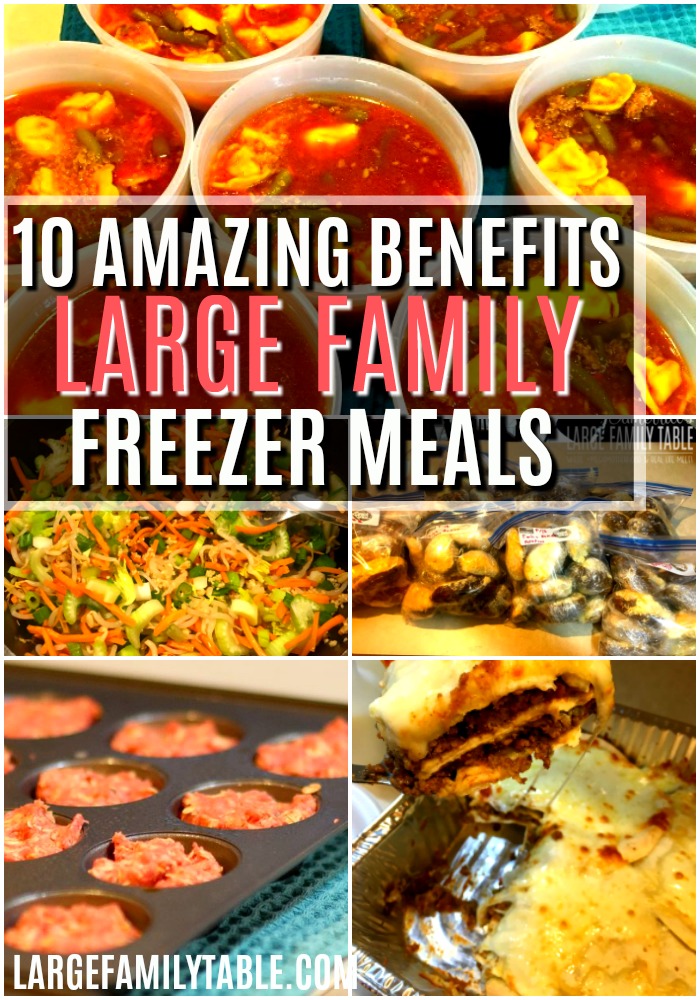 20 Healthy Freezer Meals (Instant Pot, Slow Cooker, Oven Meals, too ...