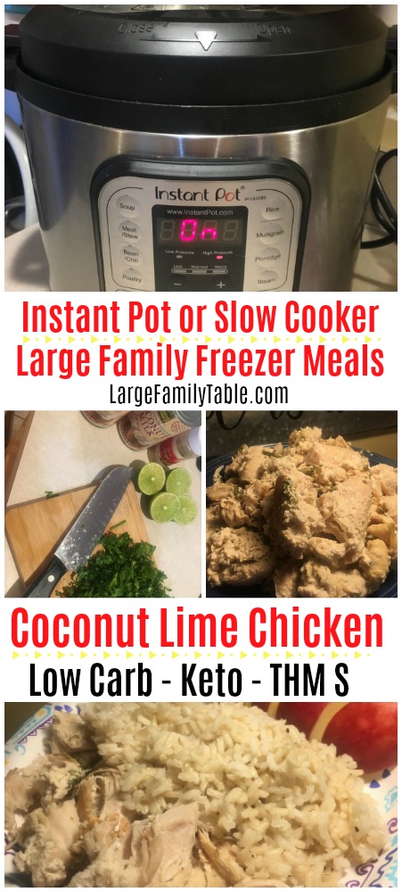 Instant Pot or Slow Cooker Large Family Freezer Meals