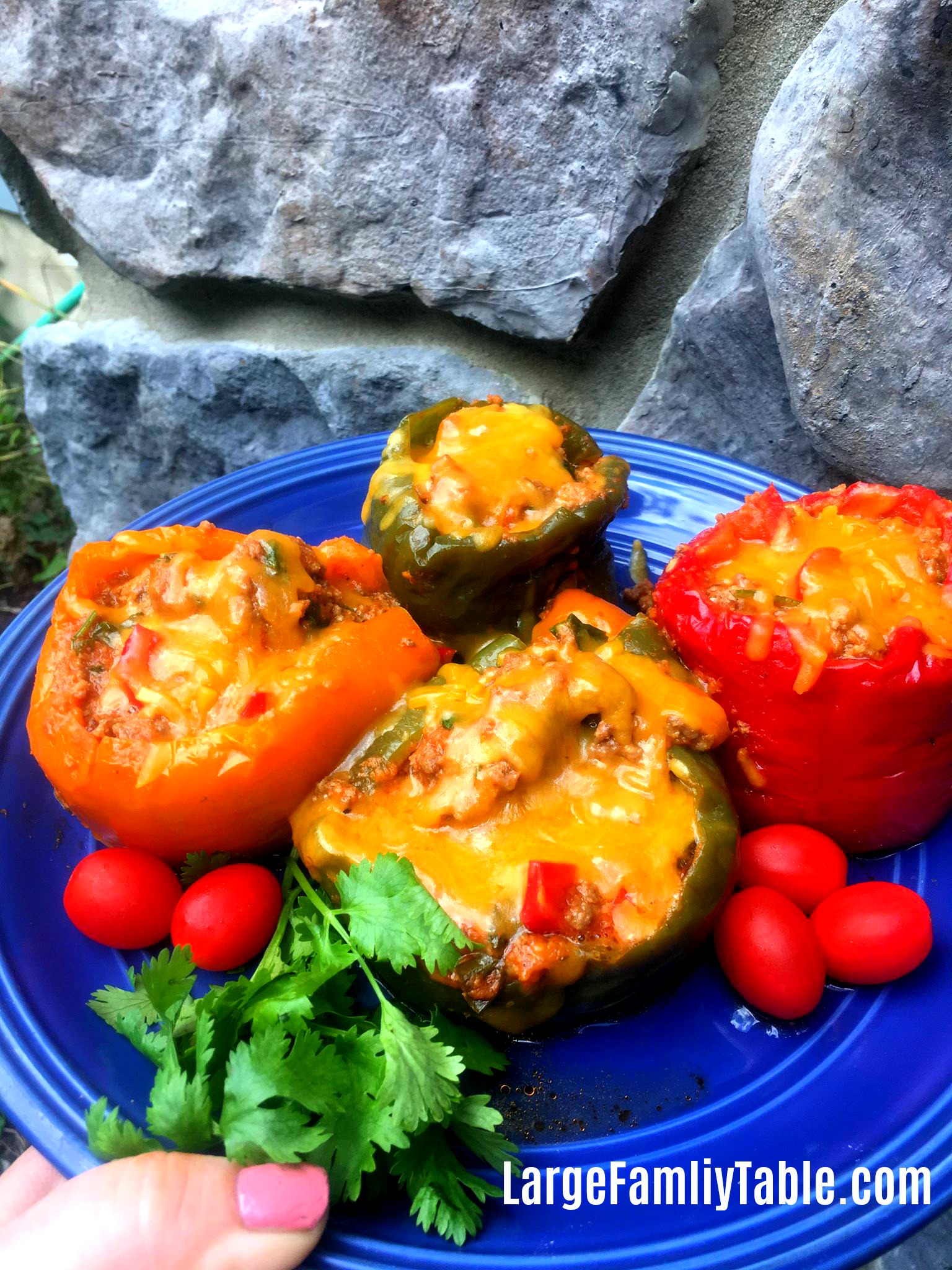 stuffed peppers on a plate