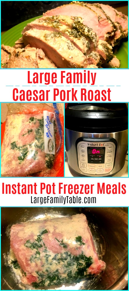 80 + Large Family Instant Pot Freezer Meal Recipes - Large Family