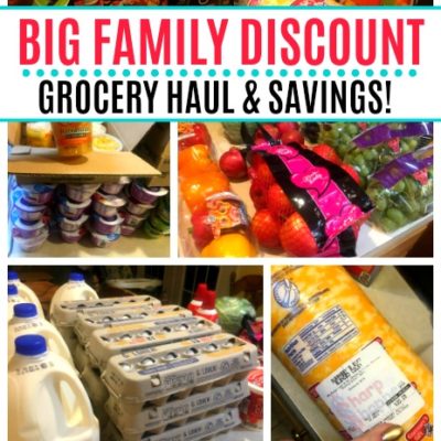 BIG family grocery shopping haul