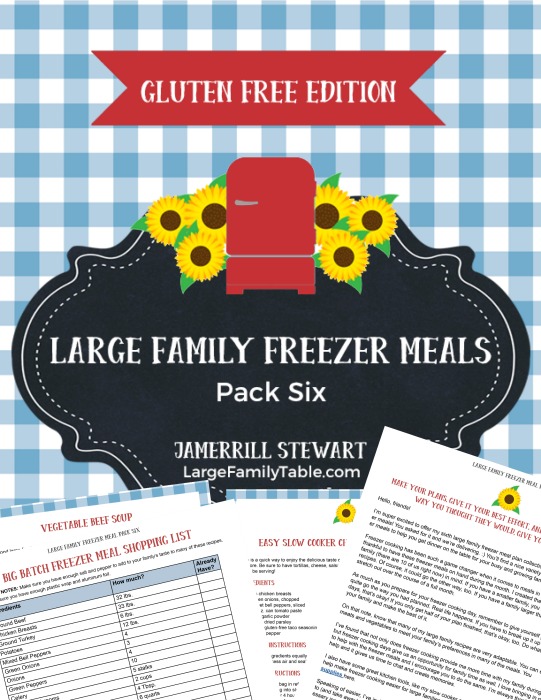 GLUTEN FREE LARGE FAMILY FREEZER MEALS PACK