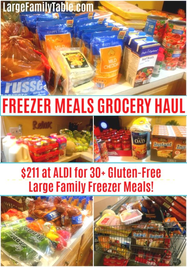 FREEZER MEALS GROCERY HAUL211 at ALDI for 30+ GlutenFree Large
