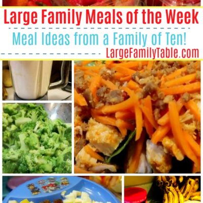large family meal plan - large family meals of the week