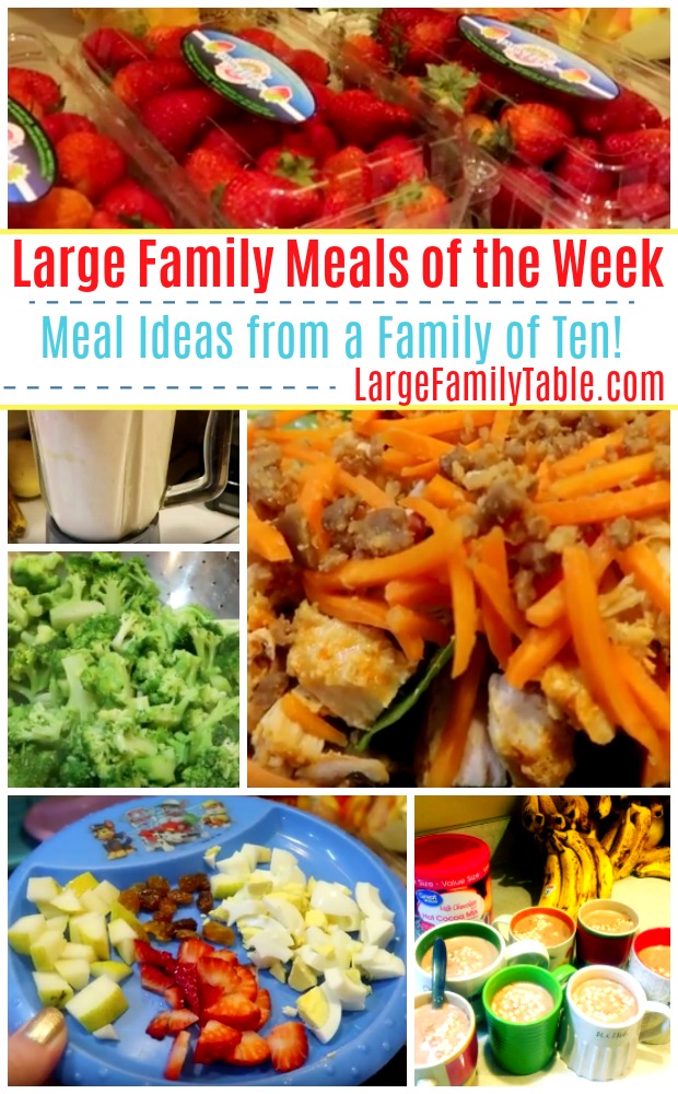 large family meal plan - large family meals of the week