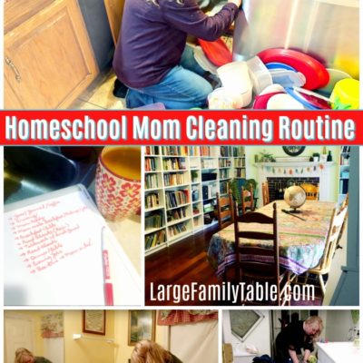 Homeschool Mom Cleaning Routine