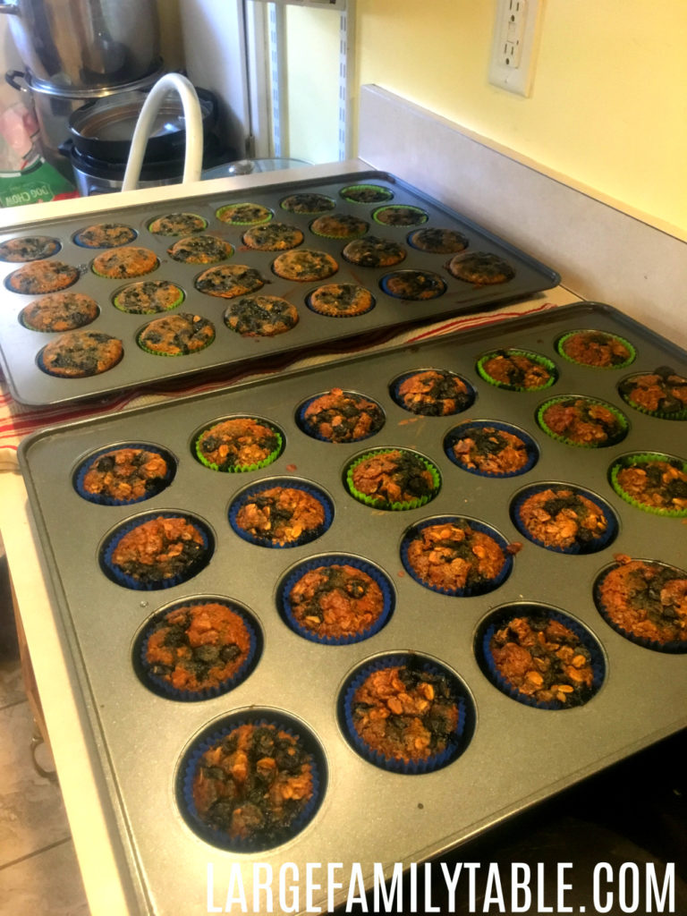 batch cooking oatmeal blueberry muffins