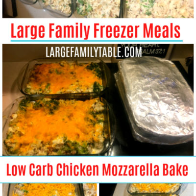 Low Carb Chicken Mozzarella Bake | Large Family Make Ahead Meals ...