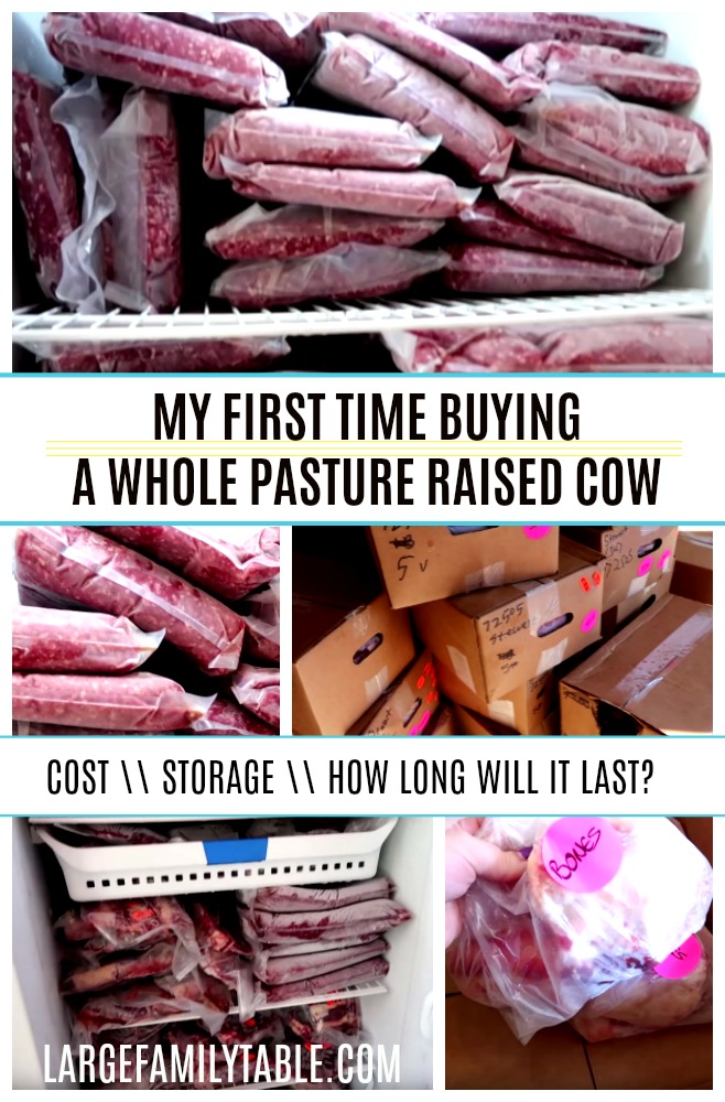 My First Time Experience Buying an Entire Pasture-Raised Cow (527 lbs!)