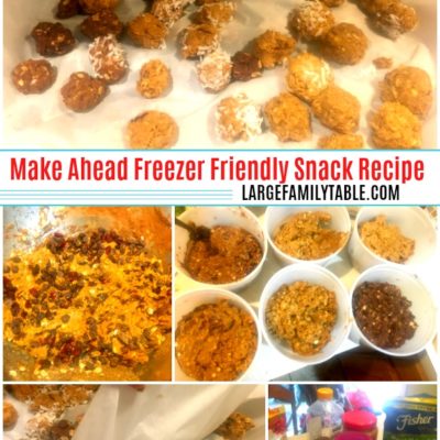 Homemade Protein Bites | Make Ahead Freezer Friendly Snack Recipe ...