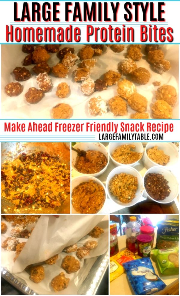 Homemade Protein Bites Make Ahead Freezer Friendly Snack Recipe