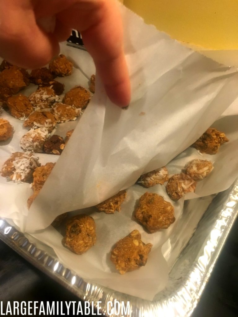 Homemade Protein Bites