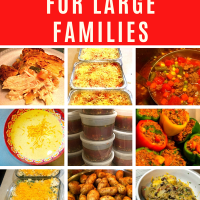 cheap meals for large families recipes