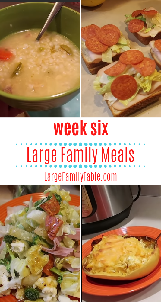 large family meal planning