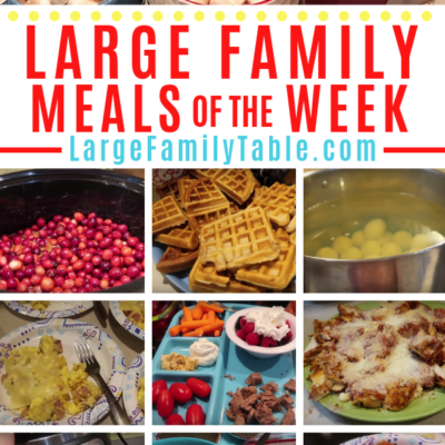 Large Family Meal Plan of the Week