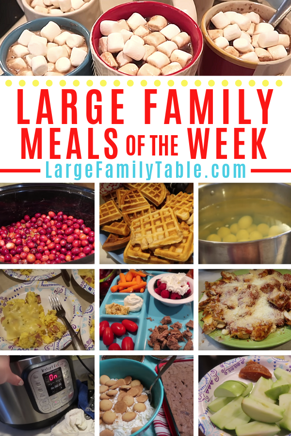 Large Family Meal Plan of the Week