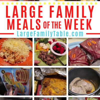 Large Family Meals of the Week