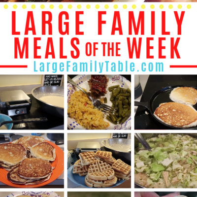 Large Family Meal Plan