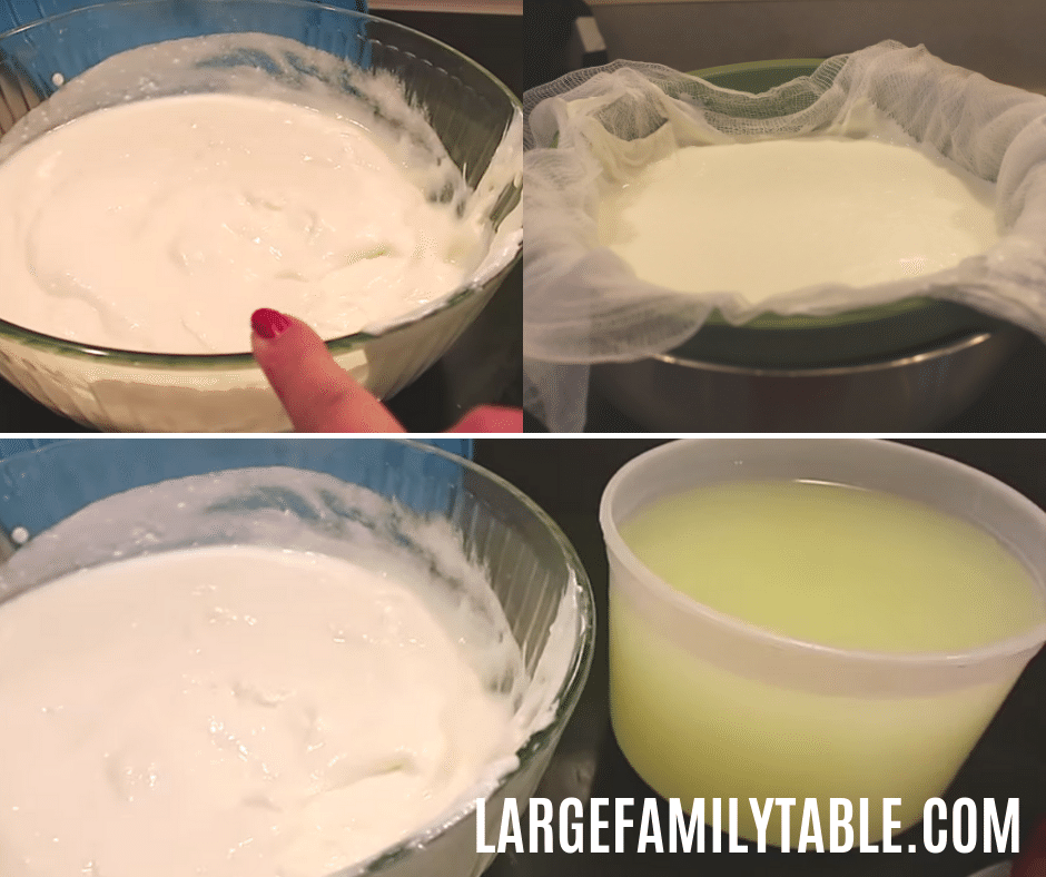 Large Family Instant Pot Yogurt Recipe