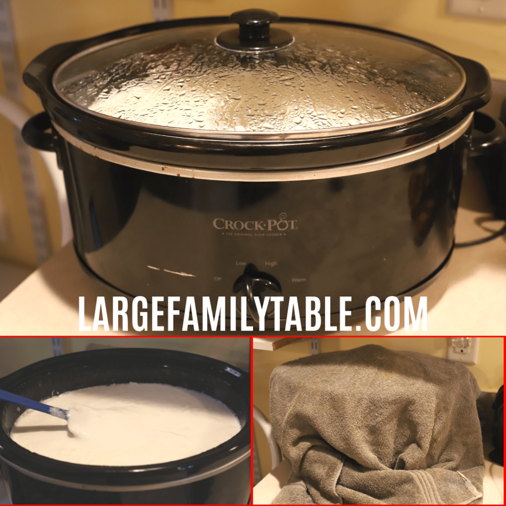 Easy Homemade Yogurt: How I do it with a Thermal Cooker