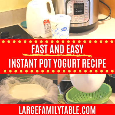 Large Family Instant Pot Yogurt Recipe