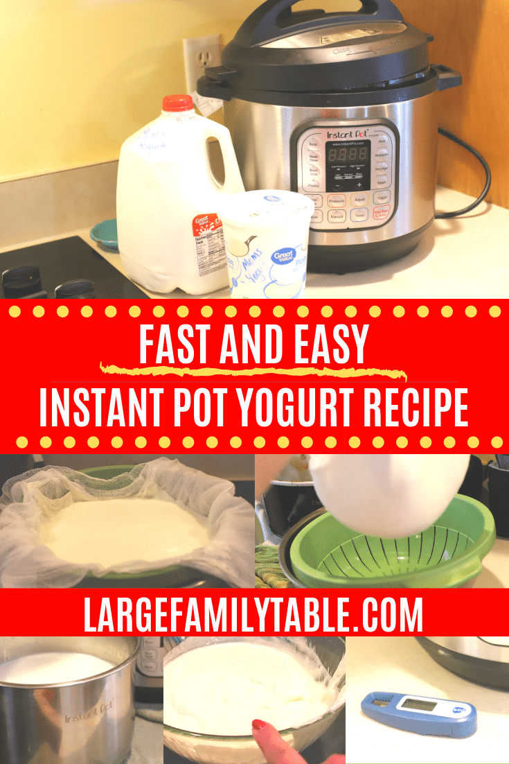 Large Family Instant Pot Yogurt Recipe