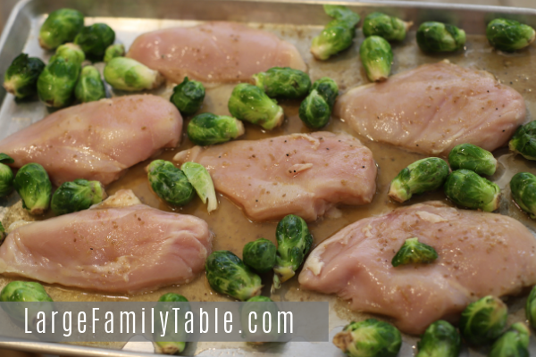 Sesame Garlic Chicken with Roasted Brussel Sprouts Sheet Pan Dinner