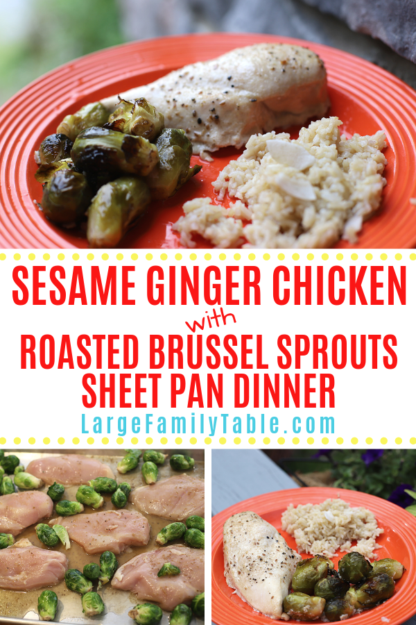 Sesame Ginger Chicken with Roasted Brussel Sprouts Sheet Pan Dinner