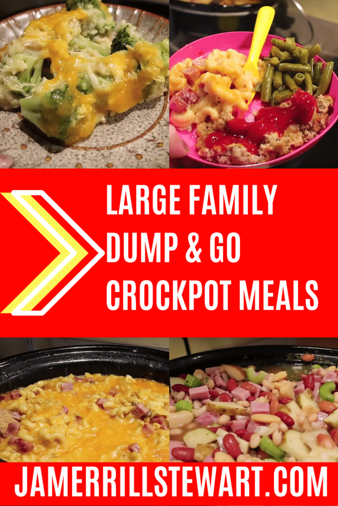 CROCK-POT DUMP & GO MEALS 