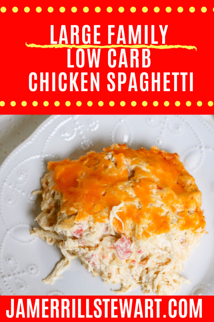 Large Family Low Carb Chicken Spaghetti Recipe