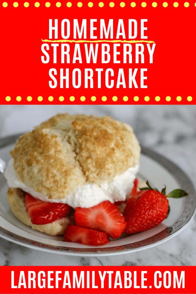 Homemade Strawberry Shortcake Recipe I Large Family Desserts