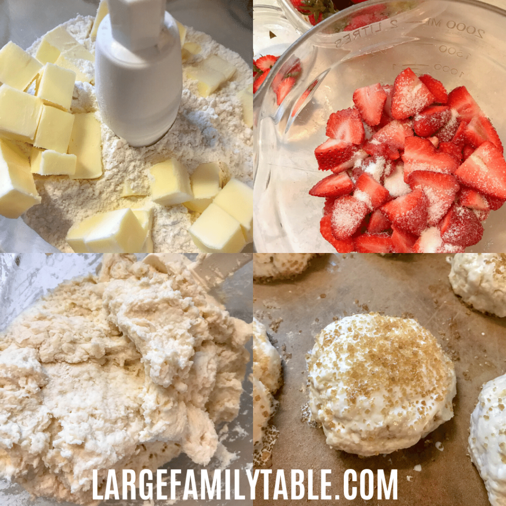Homemade Strawberry Shortcake Recipe I Large Family Desserts