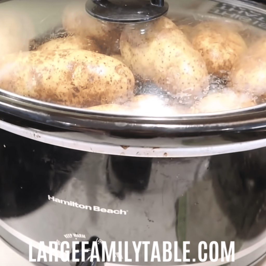 Large Family Applesauce Pork Chops