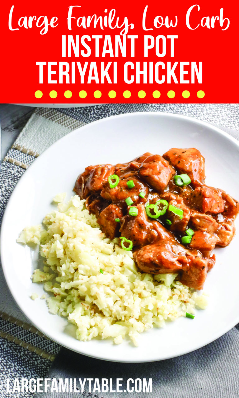 Large Family Instant Pot Low Carb Teriyaki Chicken