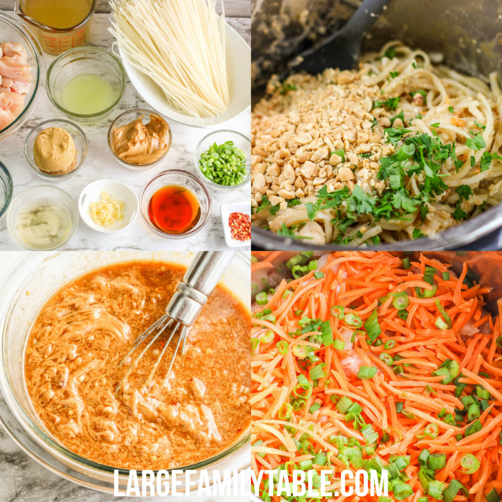 Large Family Instant Pot Pad Thai Recipe