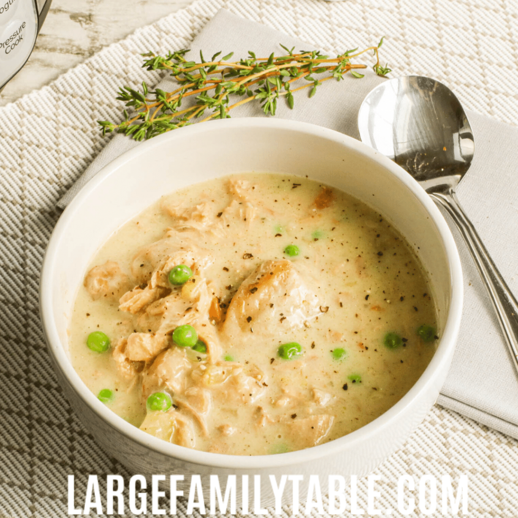 Large Family Instant Pot Chicken and Dumplings