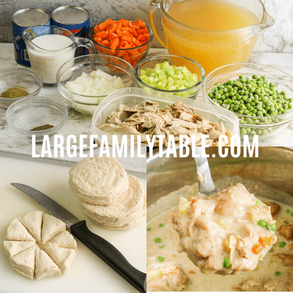 Large Family Instant Pot Chicken and Dumplings
