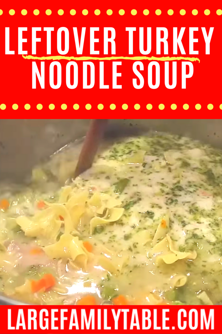 LEFTOVER TURKEY NOODLE SOUP – LARGE FAMILY FREEZER FRIENDLY