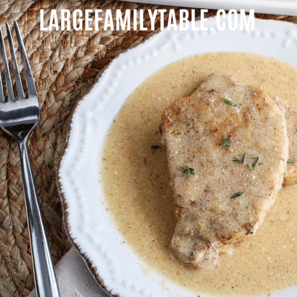 Large Family Instant Pot Sour Cream Pork Chops