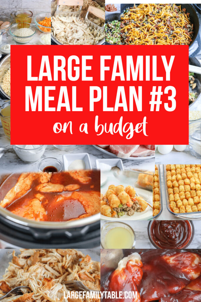 Budget Large Family Meal Plan