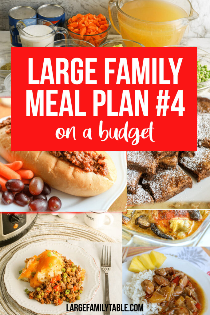 Large Family Budget Weekly Meal Plan