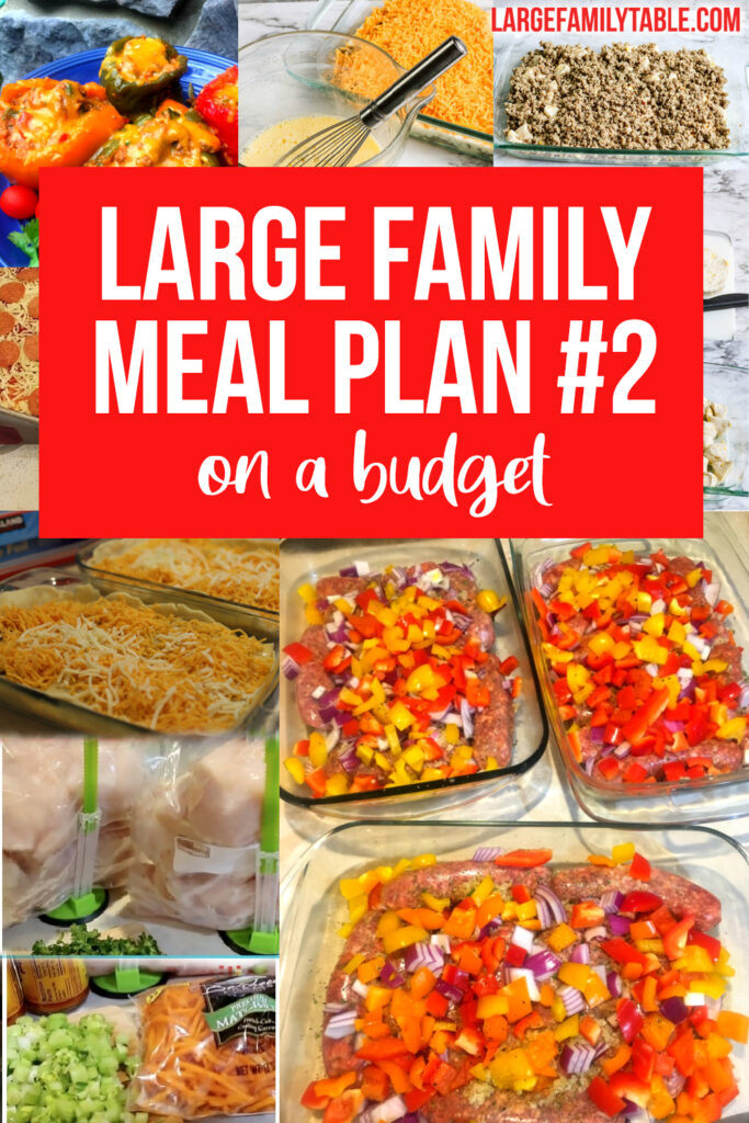 Large Family Meal Plans on a Budget Week TWO!