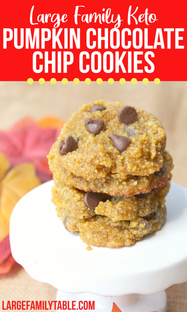 Keto Pumpkin Chocolate Chip Cookies | Large Family Baking