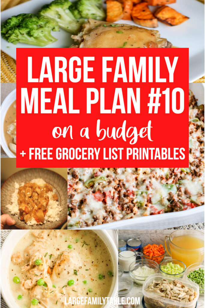 Large Family Meal Plan 10
