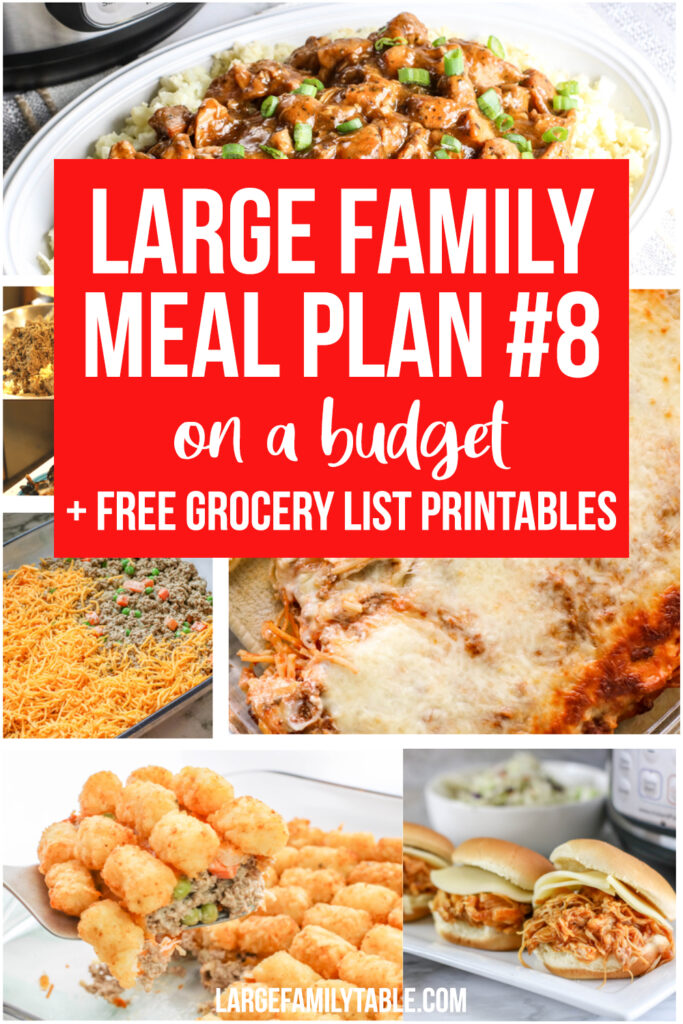 Budget-Friendly Meal Plan Week Eight