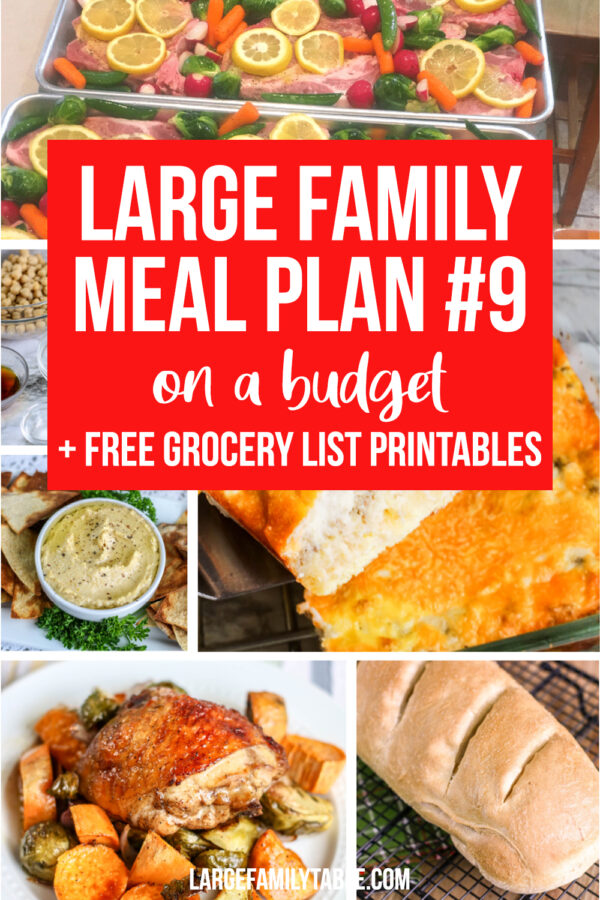 FREE Large Family Week 9 Meal Plan on a Budget | Free Meal Plan ...