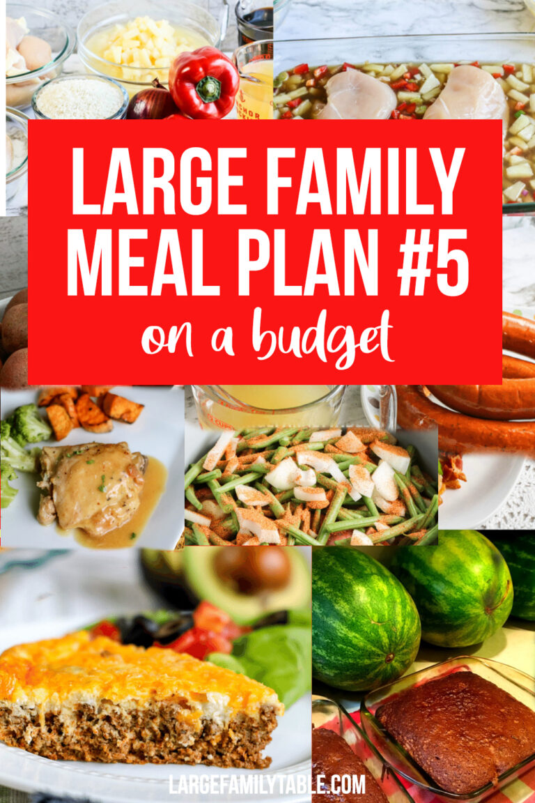 Large Family Weekly Meal Plan on a BUDGET #5