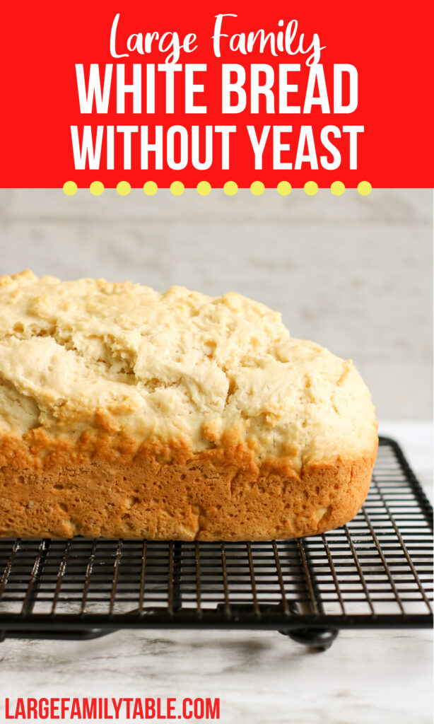 White Bread Without Yeast | Large Family Baking Ideas