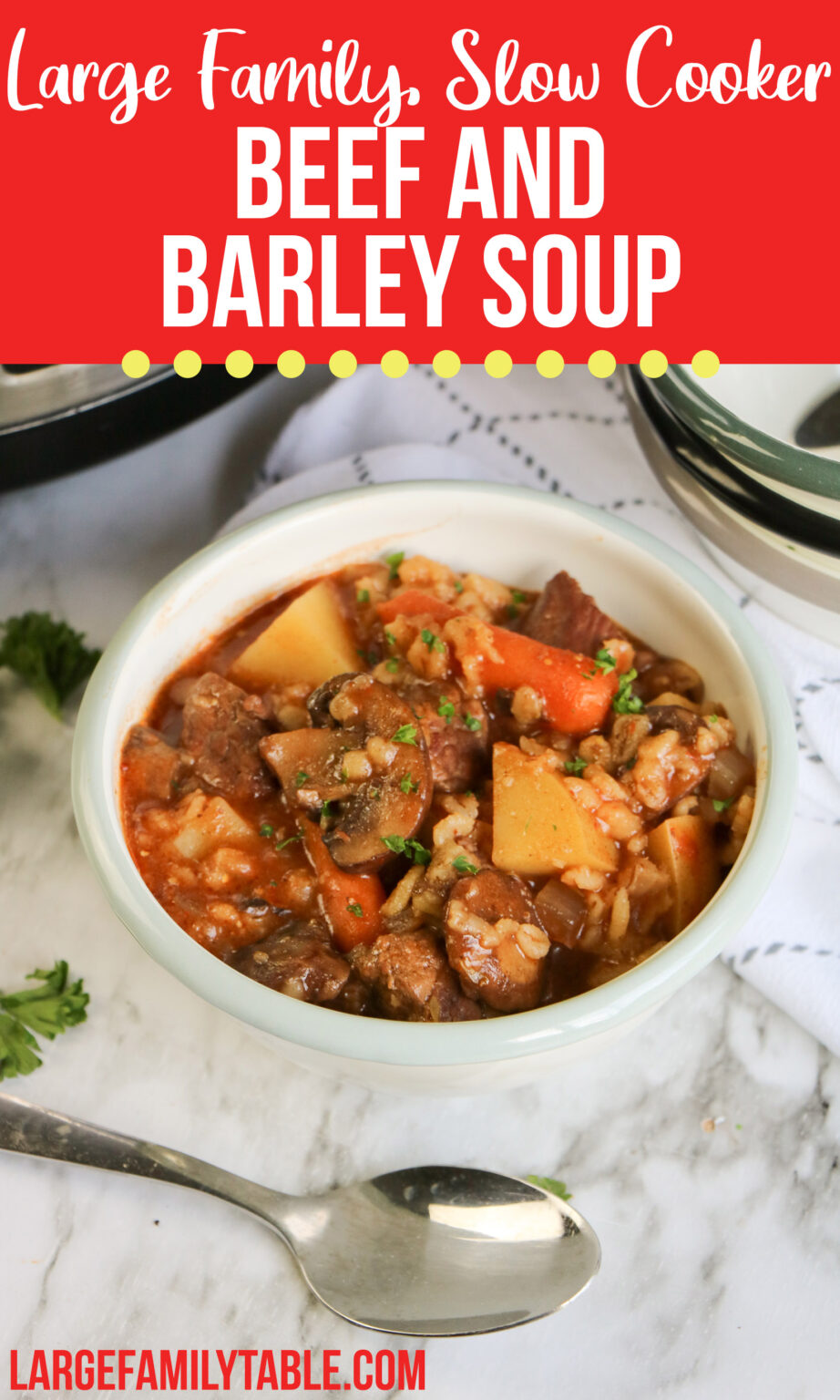 Large Family Slow Cooker Beef and Barley Soup Recipe, Dairy Free ...